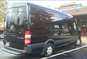 Friendly Pet Policy  Sprinter Van Rentals USA