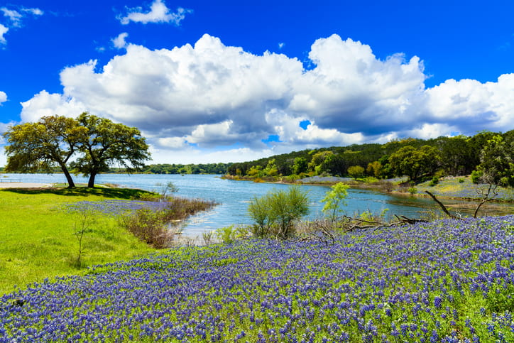 Van Rental in Austin TX